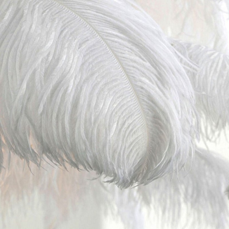 Aita Ostrich Feather Floor Lamp