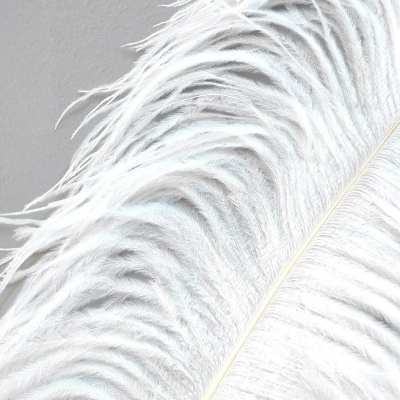 Aita Ostrich Feather Floor Lamp