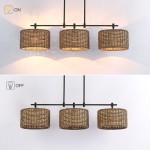 Raphael Beachy 3 Light Dimmable Drum Chandelier for Dining Room