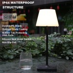Halley Exquisite Brass Color Rechargeable Dimmable Cordless Table Lamp