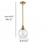 Savion Clear Glass Globe Pendant Light