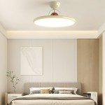 Eldwen Art Deco Round Ceiling Light