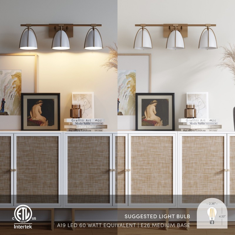 Glyntor 3 Light Metal White Cage Bathroom Vanity Light