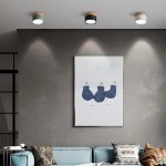 Cyrion Nordic Cylinder LED Flush Mount Ceiling Light