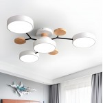 Phelith Scandinavian Round Molecule Branch Led Ceiling Light
