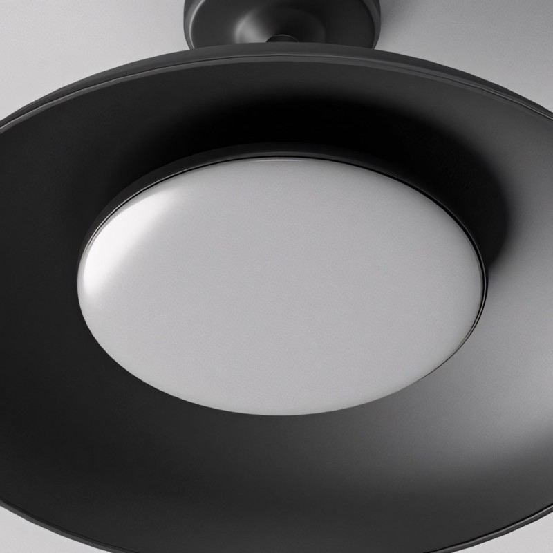Khyler Scandinavian Carbonized Steel Round Waterproof Ceiling Light