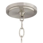 Myrith Antique Organza Glass Drum Shape Pendant Light