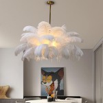 Caden Modern Nordic Ostrich Feather Chandelier