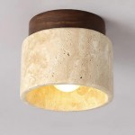 Galion Blue Crylic Round Ceiling Light
