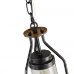 Doran Farmhouse Black Cage Cylinder Glass Pendant Light