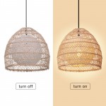 Clioan Bohemian Woven Rattan Pendant Light
