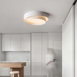 Melady Nordic Irregular Double-Layer Circular Ceiling Light