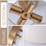 Lisi Modern Fabric Semi Flush Mount Ceiling Light