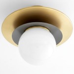 Ilincic Modern Morandi Globe Brass Ceiling Light