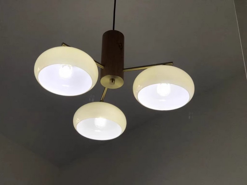 ibg9fj48unhrkjyryrwv-thumbnail.jpg